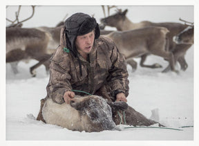 Kolya catches reindeer Poster