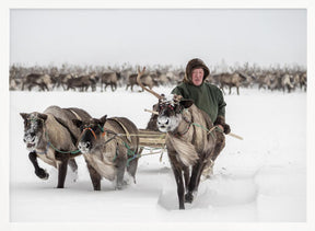 Semjon leads the herd Poster