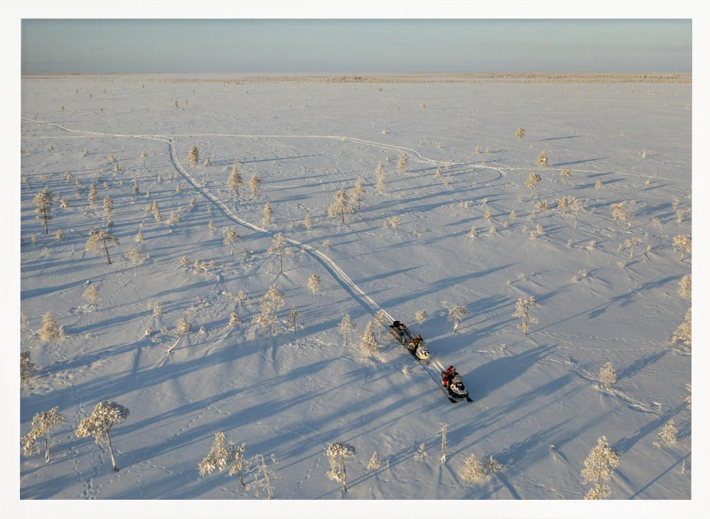 Lost in the tundra Poster