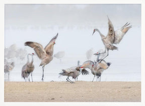 Dancing in The Foggy Morning Poster