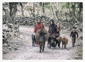 Tajik women and livestock on the way from pastures Poster