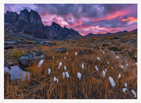 Fall Color in the Mountain Poster