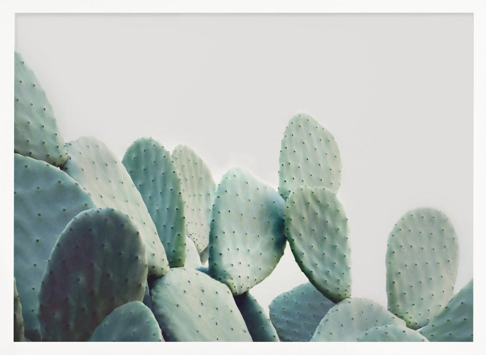 Pastel Cactus Poster