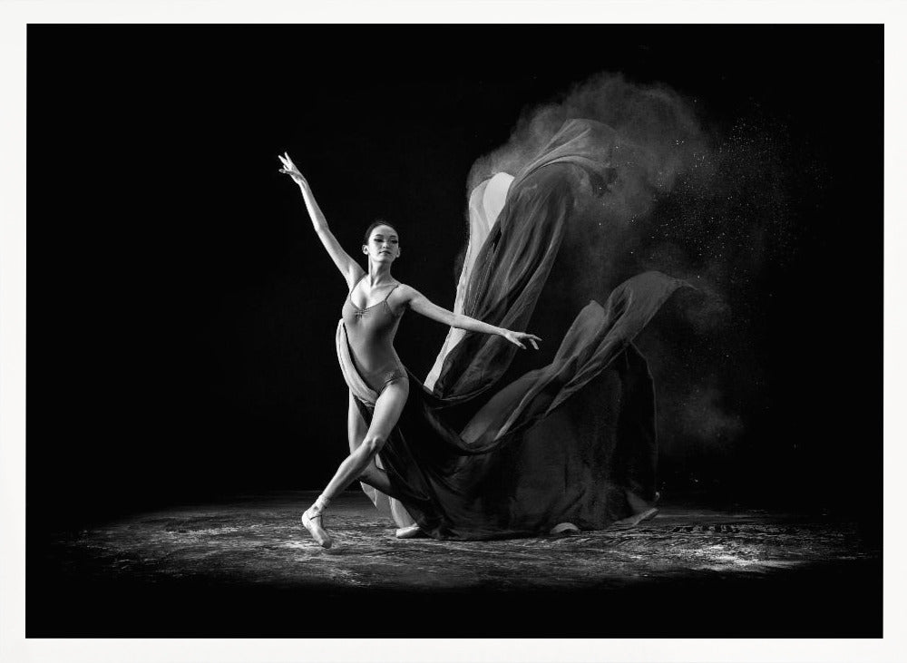 Step of Balerina Poster