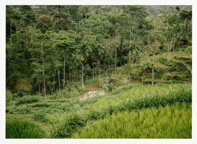 Tetebatu Lombok Poster