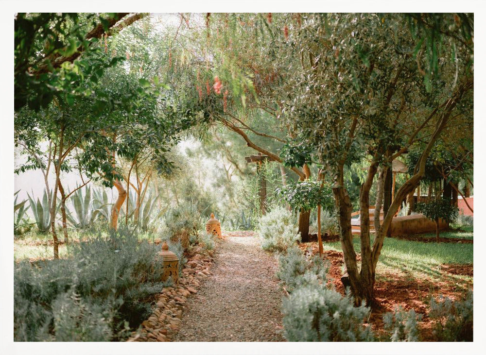 Botanical Ourika Poster