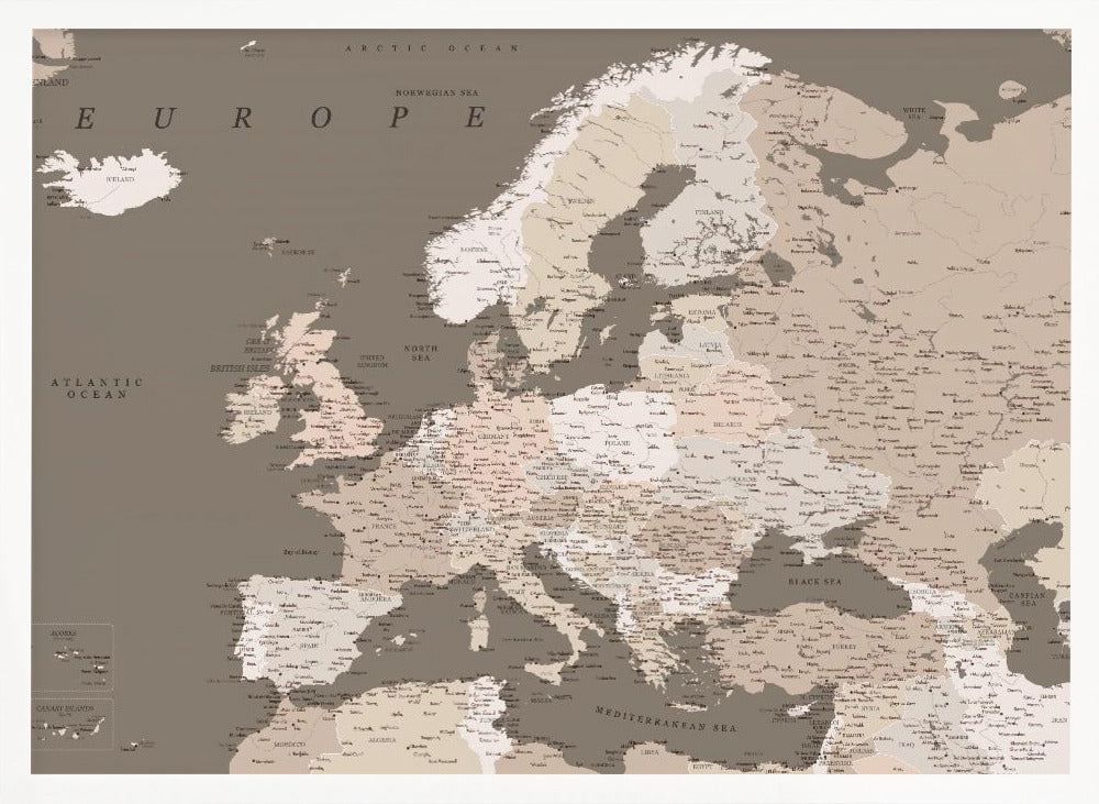 Earth tones detailed map of Europe Poster