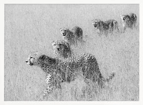 Five Brothers in Hunting Poster