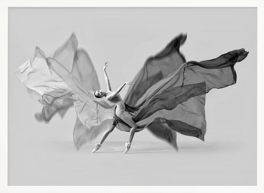 Balerina Butterfly Dance Poster