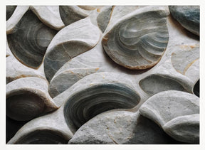 Sea Shells Detail No 5 Poster