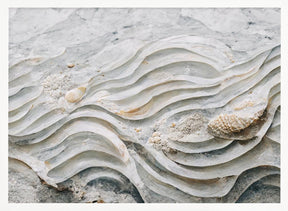 Sea Shell Detail No 6 Poster