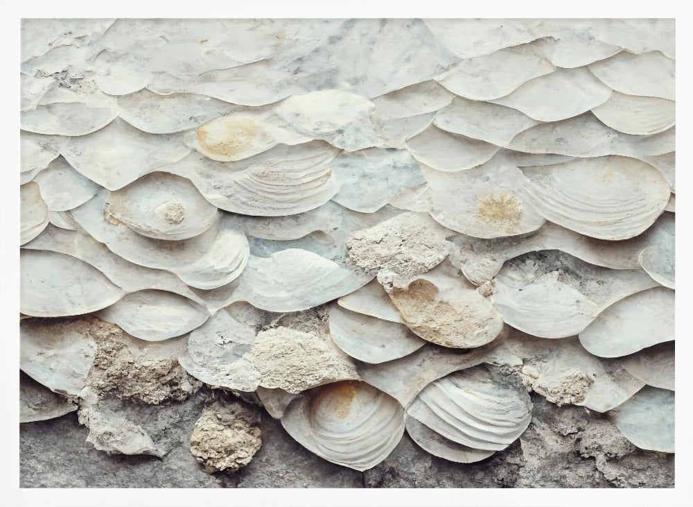 Sea Shells Detail No 7 Poster