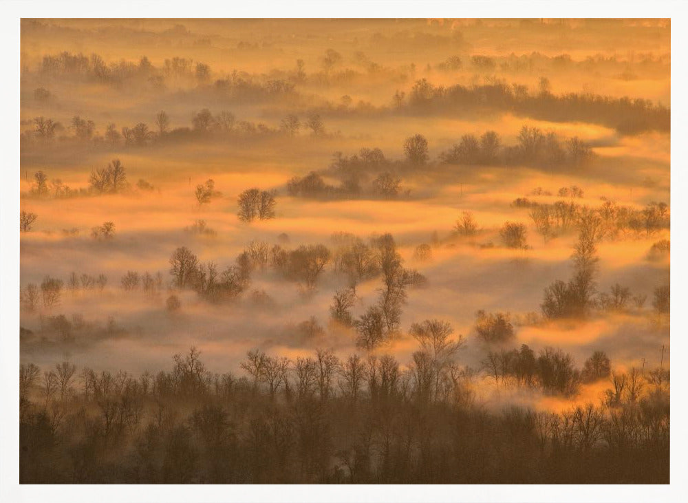 Morning mists Poster