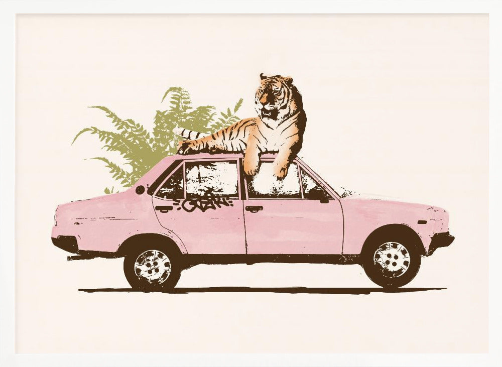 Tiger On Car Poster