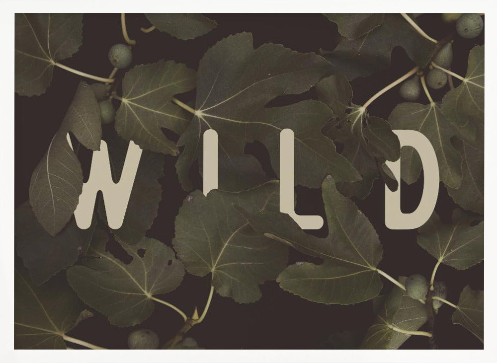 Wild Nº2 Poster