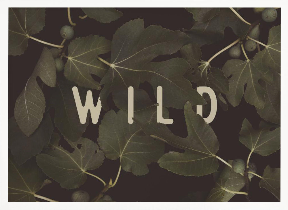 Wild Nº1 Poster