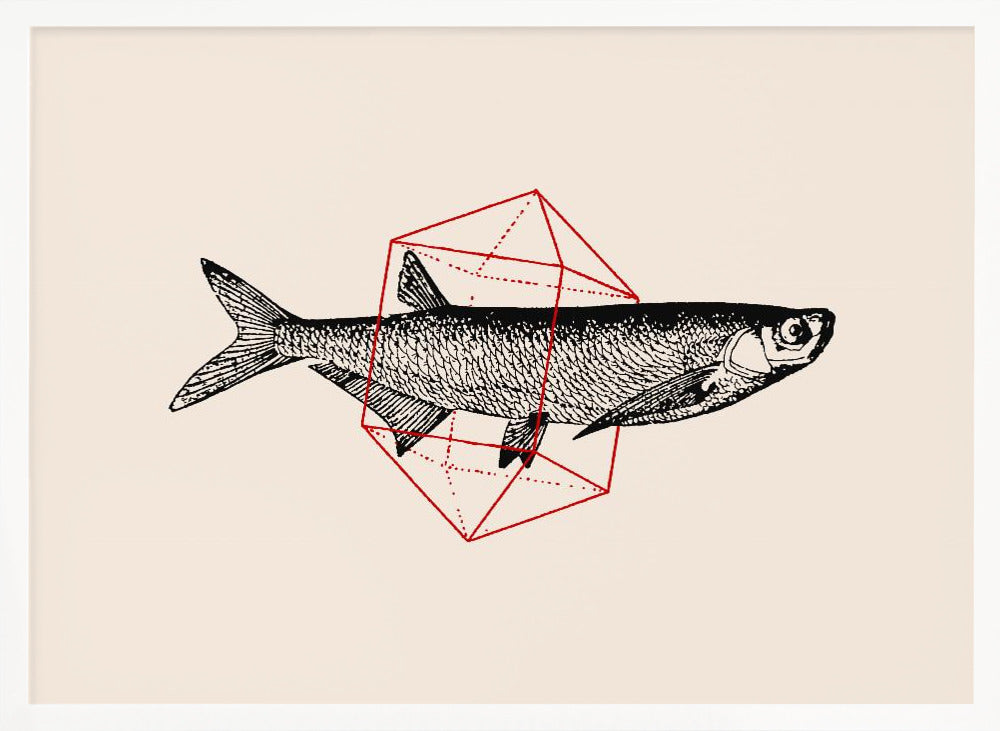 Fish In Geometrics Nº2 Poster