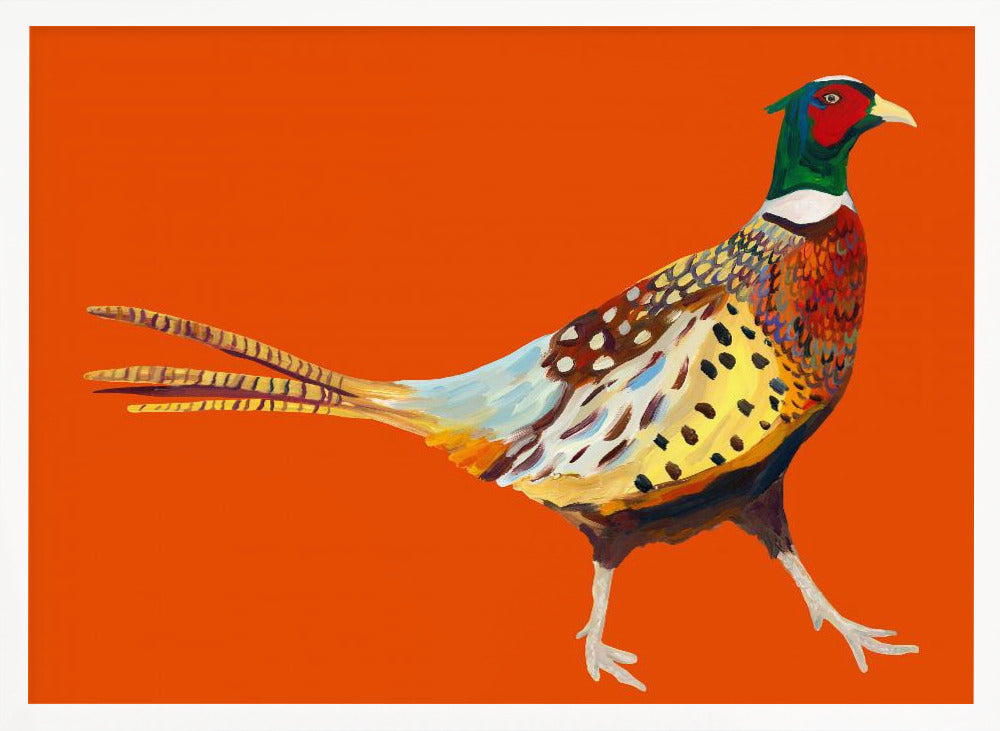 Strutting Pheasant On Orange Poster