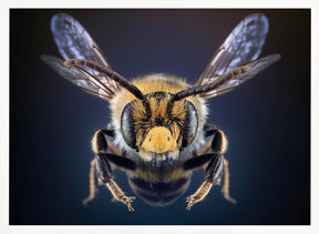 WildBee Poster