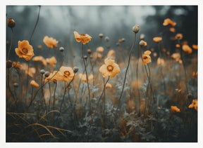 Orange Poppy Poster