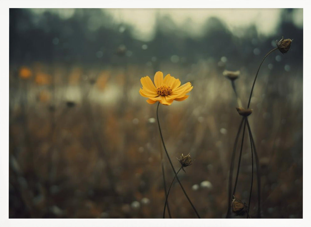 Yellow Flower Poster