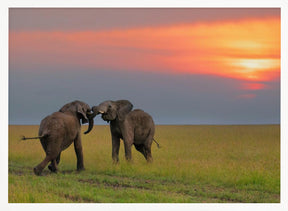 Dancing at The Sunset Poster