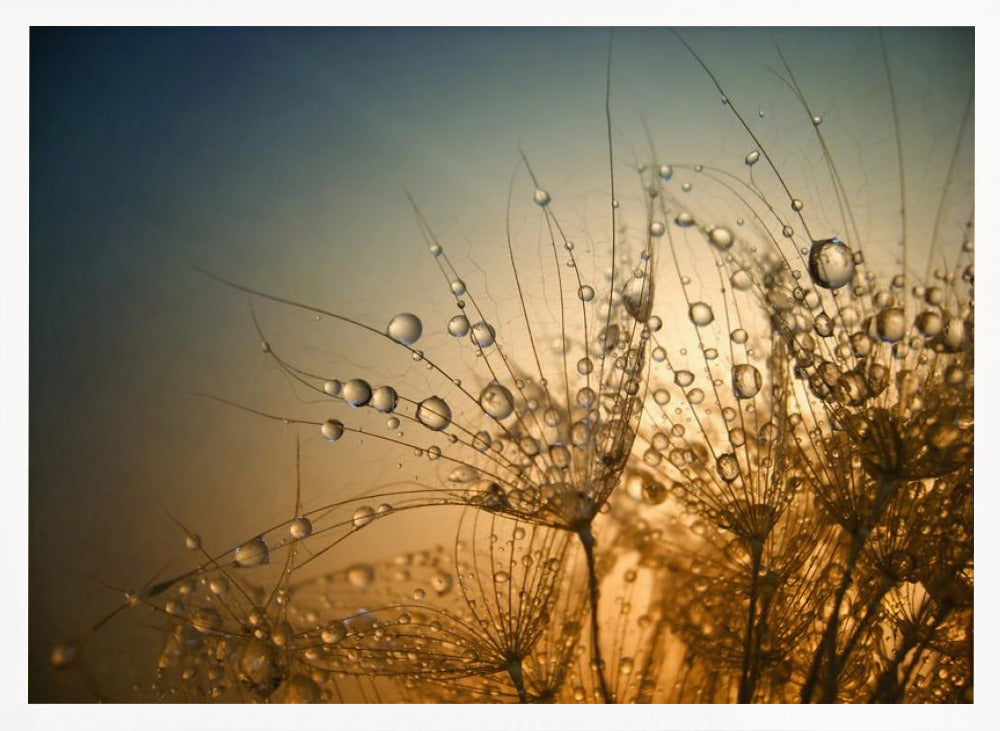 Tender is the Night Poster