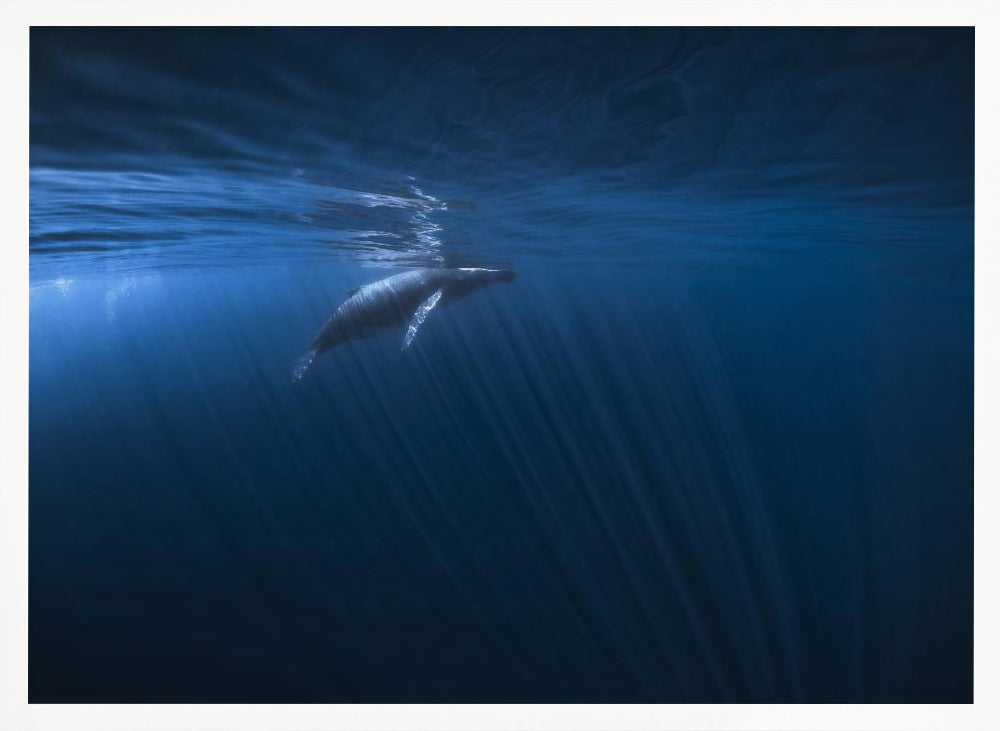 Alone in the blue Poster