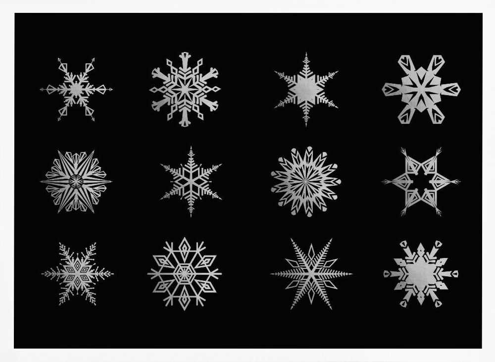 Twelve geometric snowflakes in black Poster