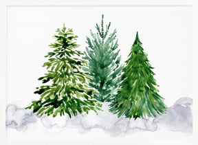 Three watercolor pine trees Poster