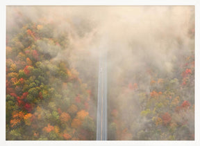 Road through Autumn Forest Poster