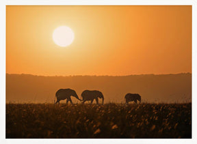 Sunset Walk Poster