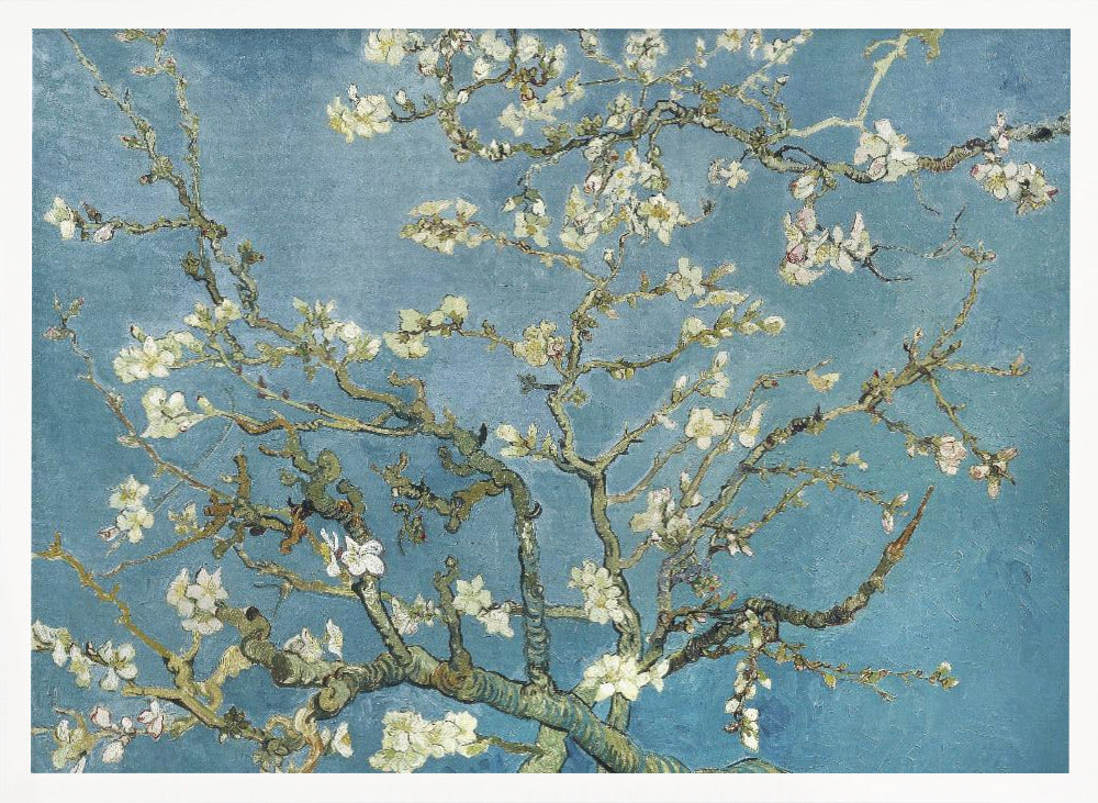 Vincent Van Gogh's Almond Blossom (1890) Poster