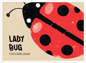 Lady Bug Poster