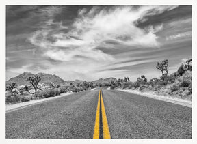 Park Boulevard, Joshua Tree National Park Poster