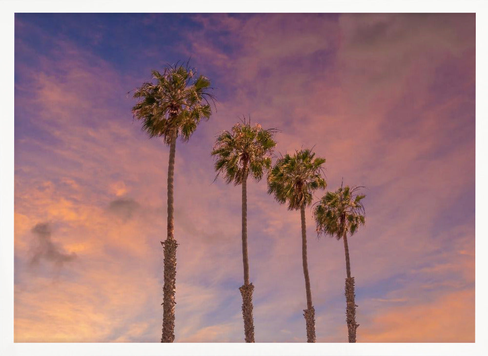 Palm trees - Idyllic sunset Poster