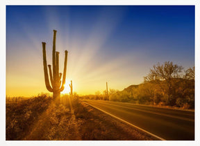 SAGUARO NATIONAL PARK Setting Sun Poster