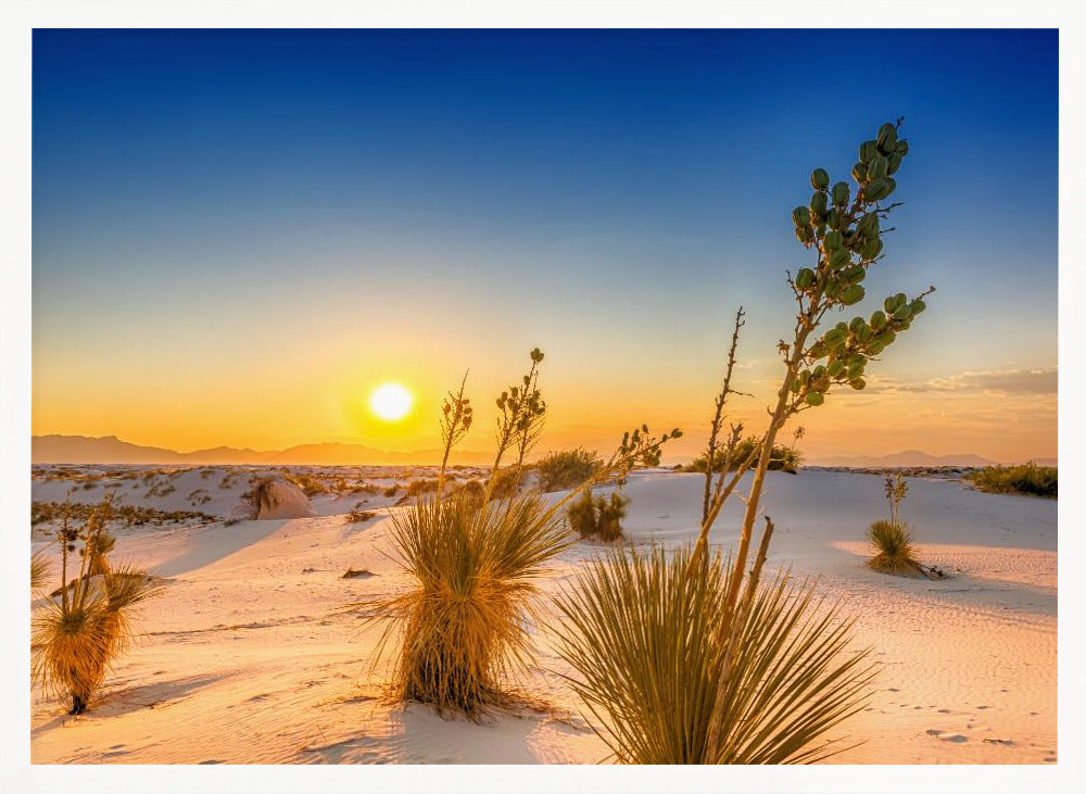 White Sands Sunset Poster