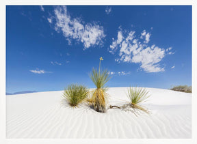 White Sands Impression Poster