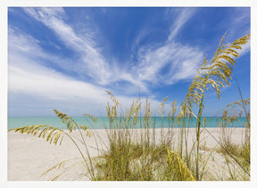 Heavenly calmness on the beach Poster