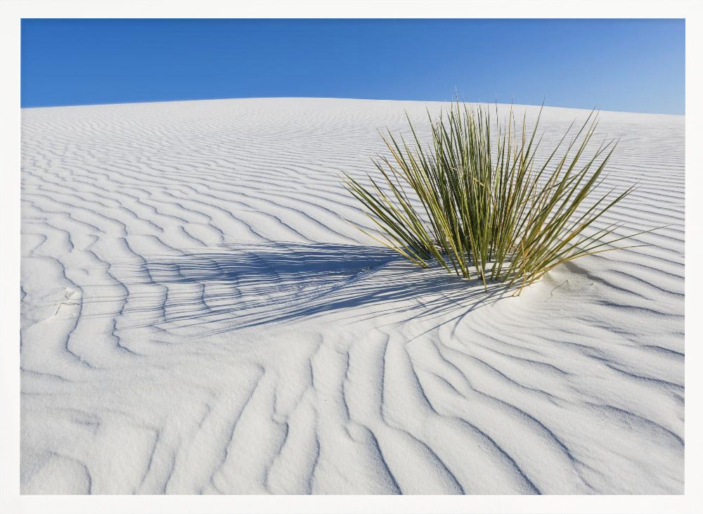 WHITE SANDS Idyllic scenery Poster