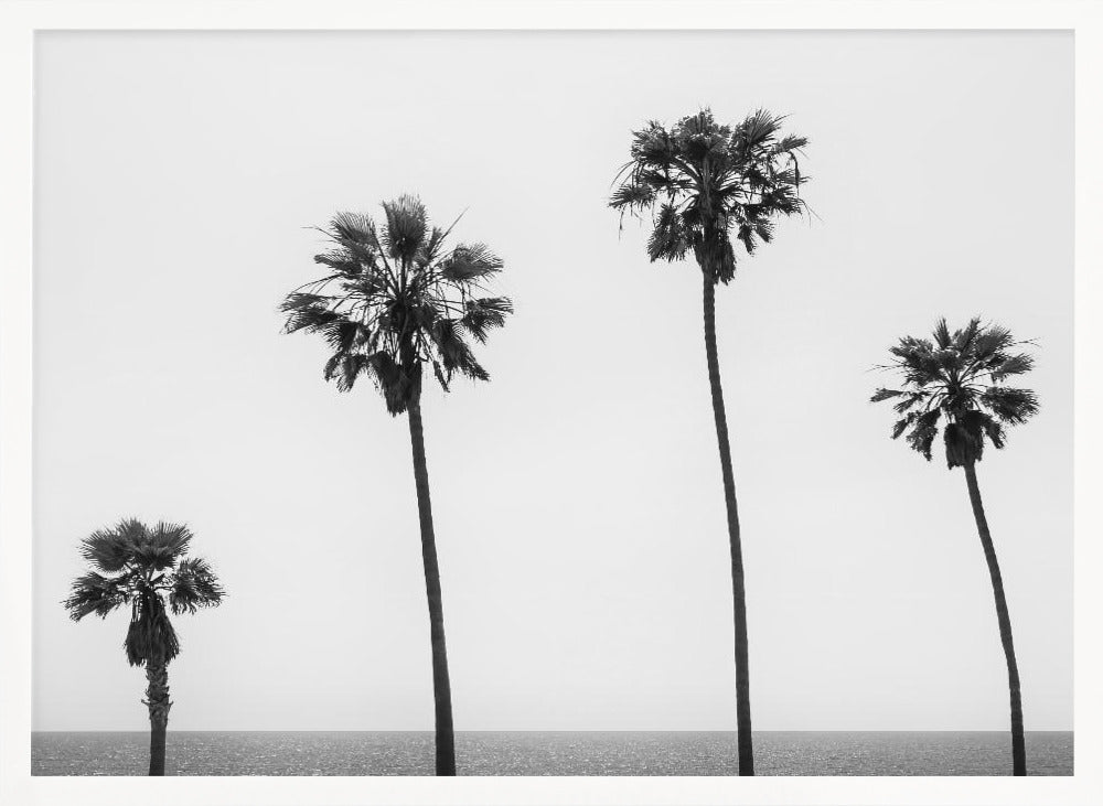 Palm trees by the sea | monochrome Poster