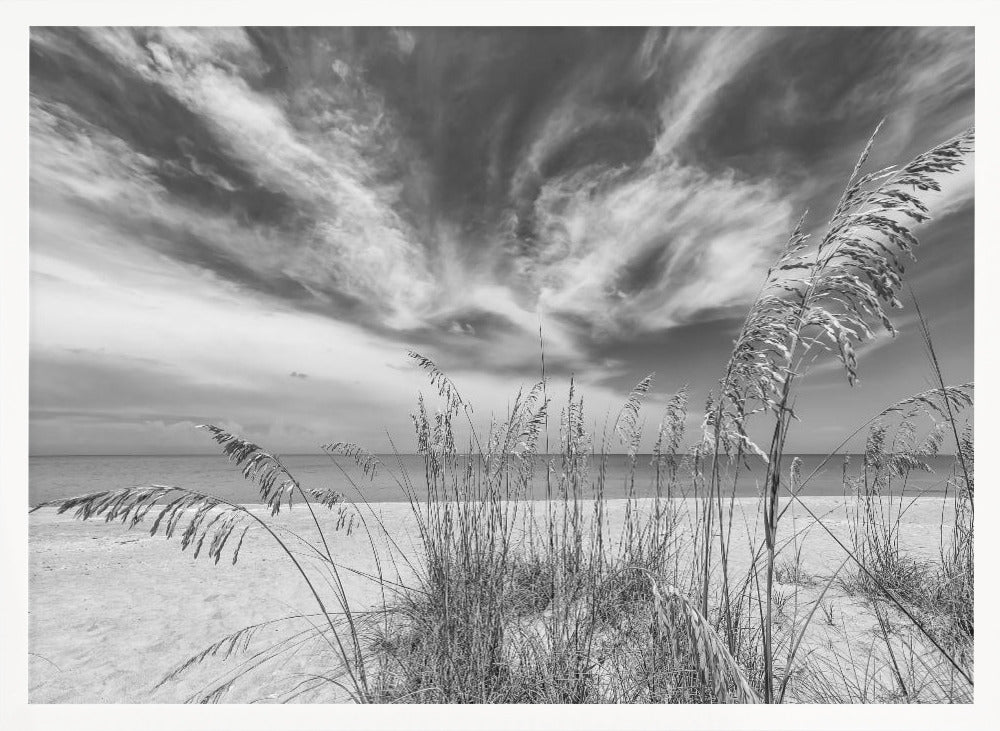 Heavenly calmness on the beach - monochrome Poster