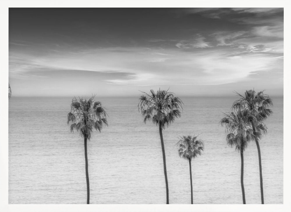 Lovely Palm Trees at the Ocean | monochrome Poster