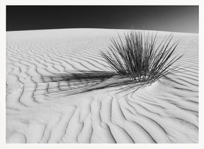 WHITE SANDS Idyllic scenery | Monochrome Poster