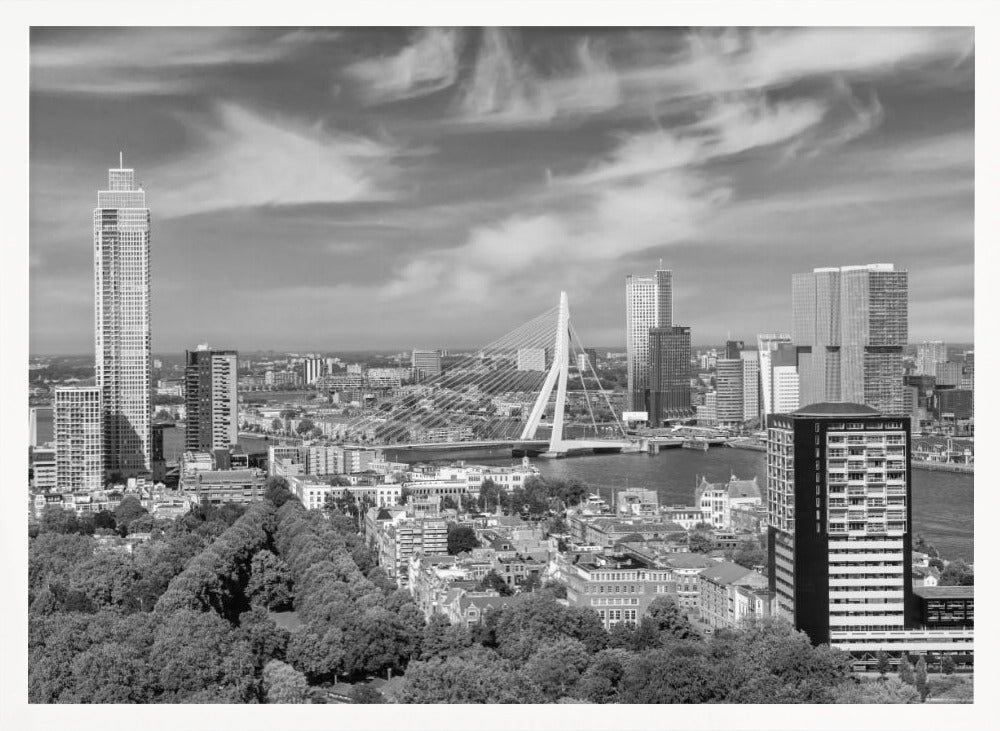 Unique Rotterdam panorama seen from the Euromast | Monochrome Poster
