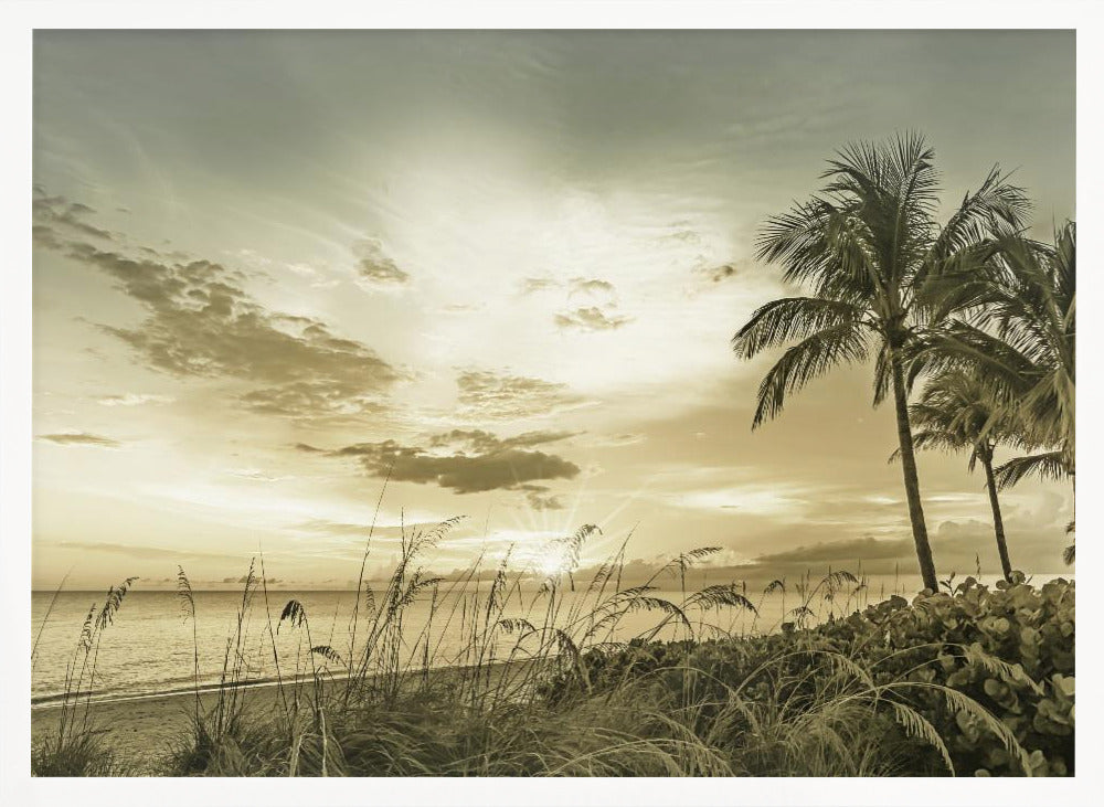 BONITA BEACH Sunset Poster