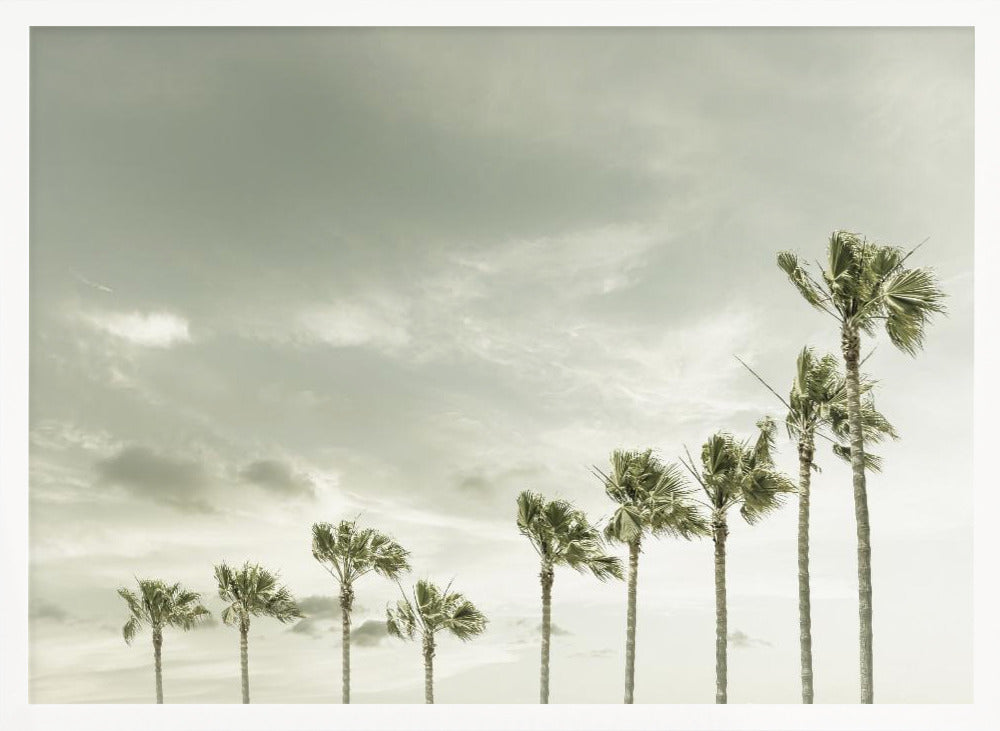 Vintage Palm Trees at the beach Poster