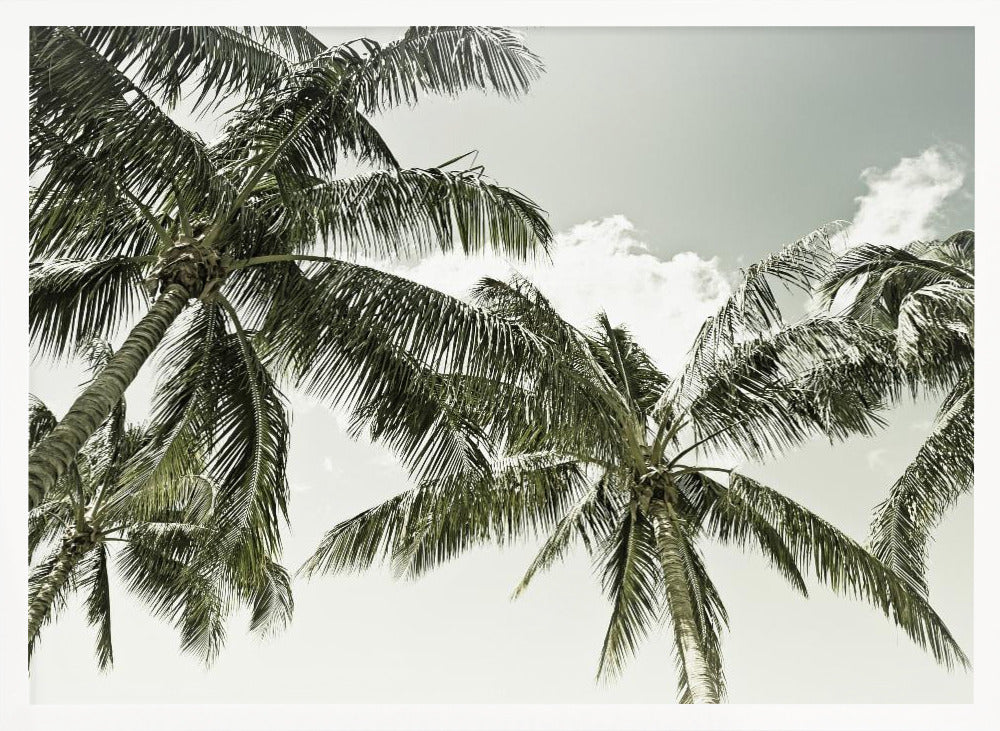 Vintage Palm Trees Poster