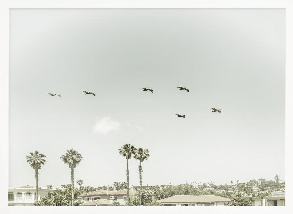 Above the rooftops of San Diego Poster